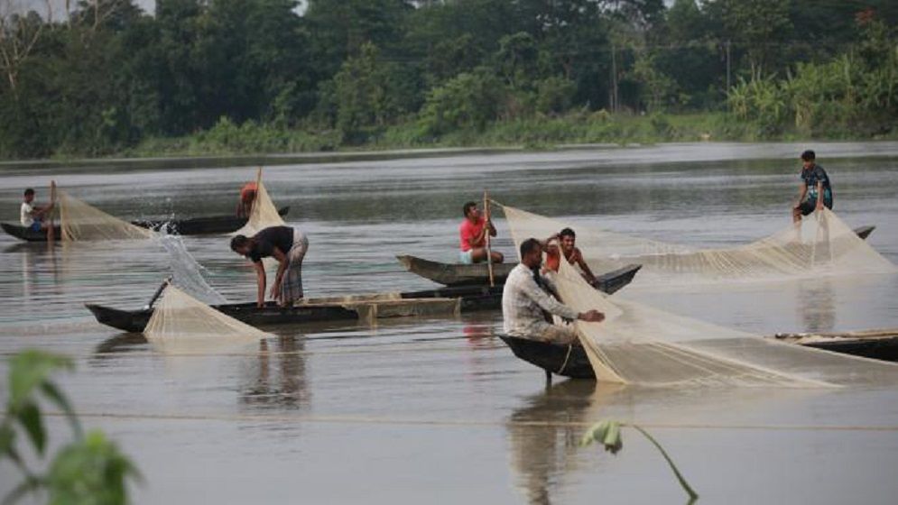 প্রাকৃতিক প্রজনন, অর্থনীতি ও অস্তিত্বের লড়াই