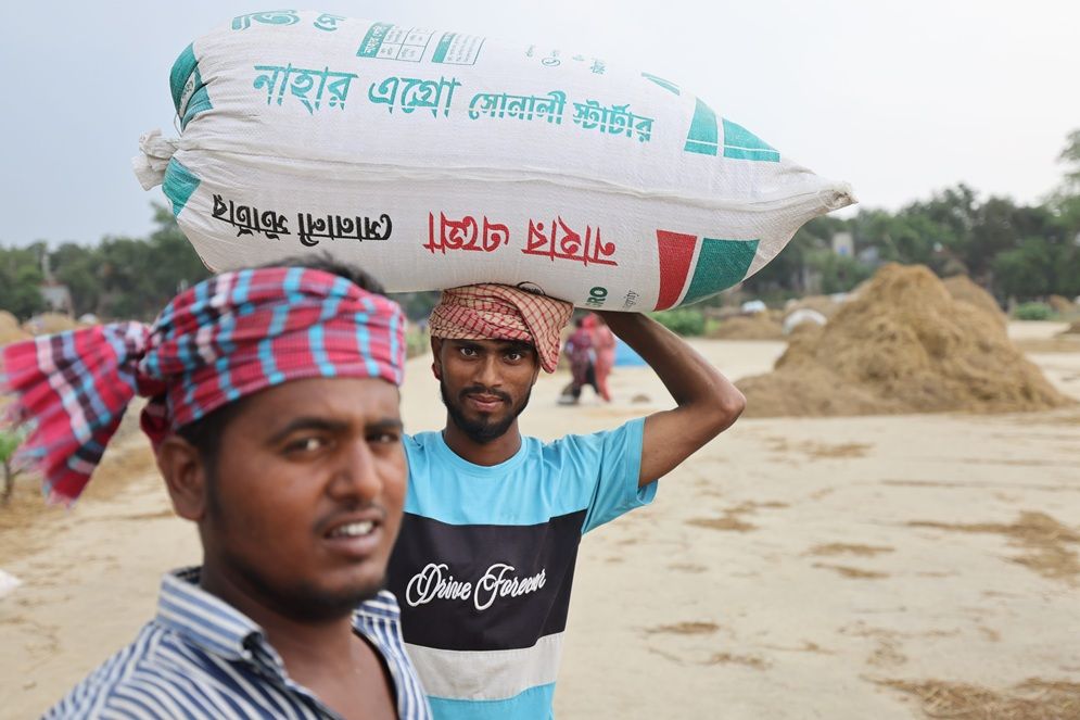 অষ্টগ্রাম হাওরে ধান মাড়াই