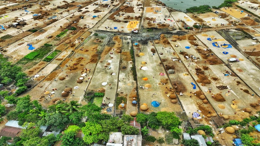 অষ্টগ্রাম হাওরে ধান মাড়াই