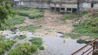 বিষাক্ত স্রোতধারায় রুদ্ধশ্বাস প্রাণ-প্রকৃতি