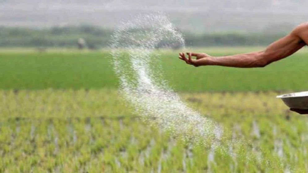 সার নিয়ে রাজনীতি ও ক্ষমতার অদৃশ্য সিন্ডিকেট