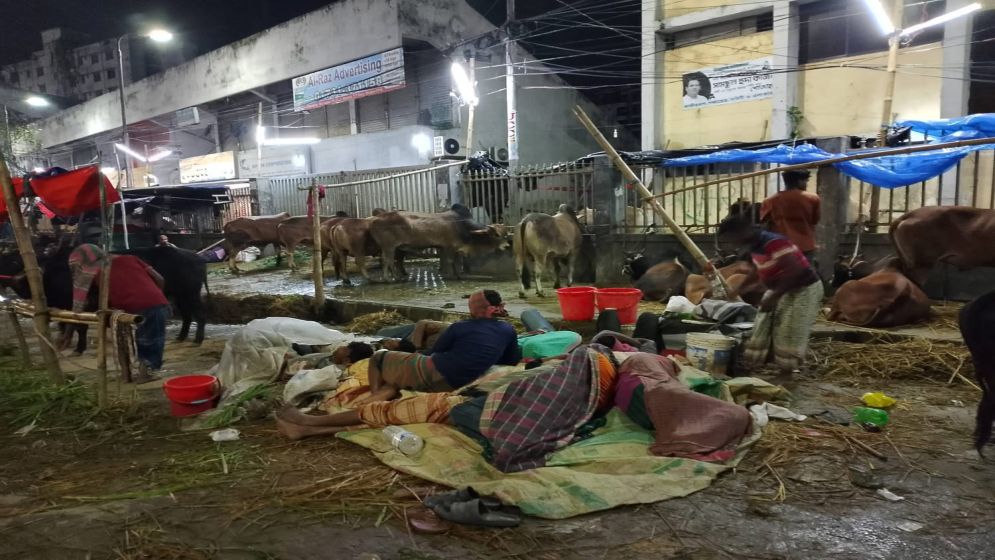 পশুর হাটে বেপারী-খামারীদের রাতযাপন