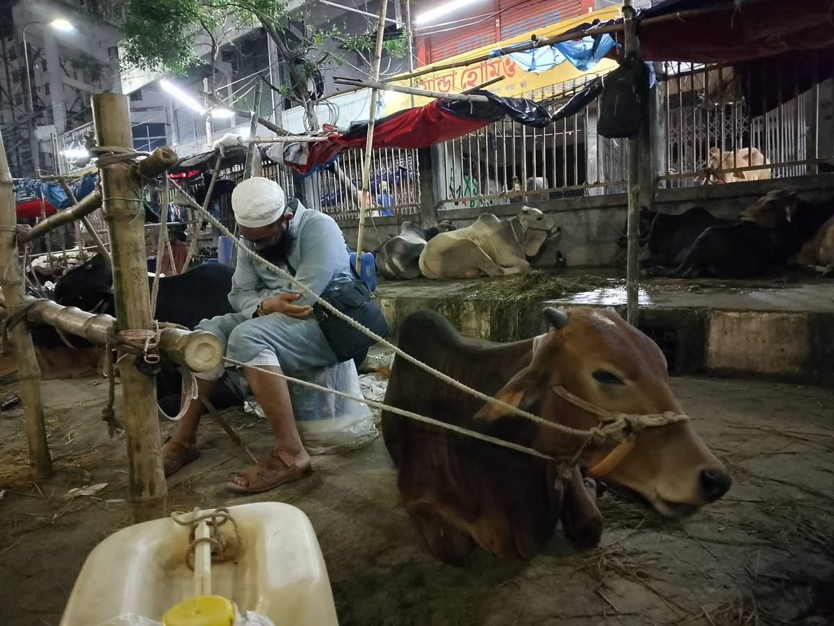 পশুর হাটে বেপারী-খামারীদের রাতযাপন
