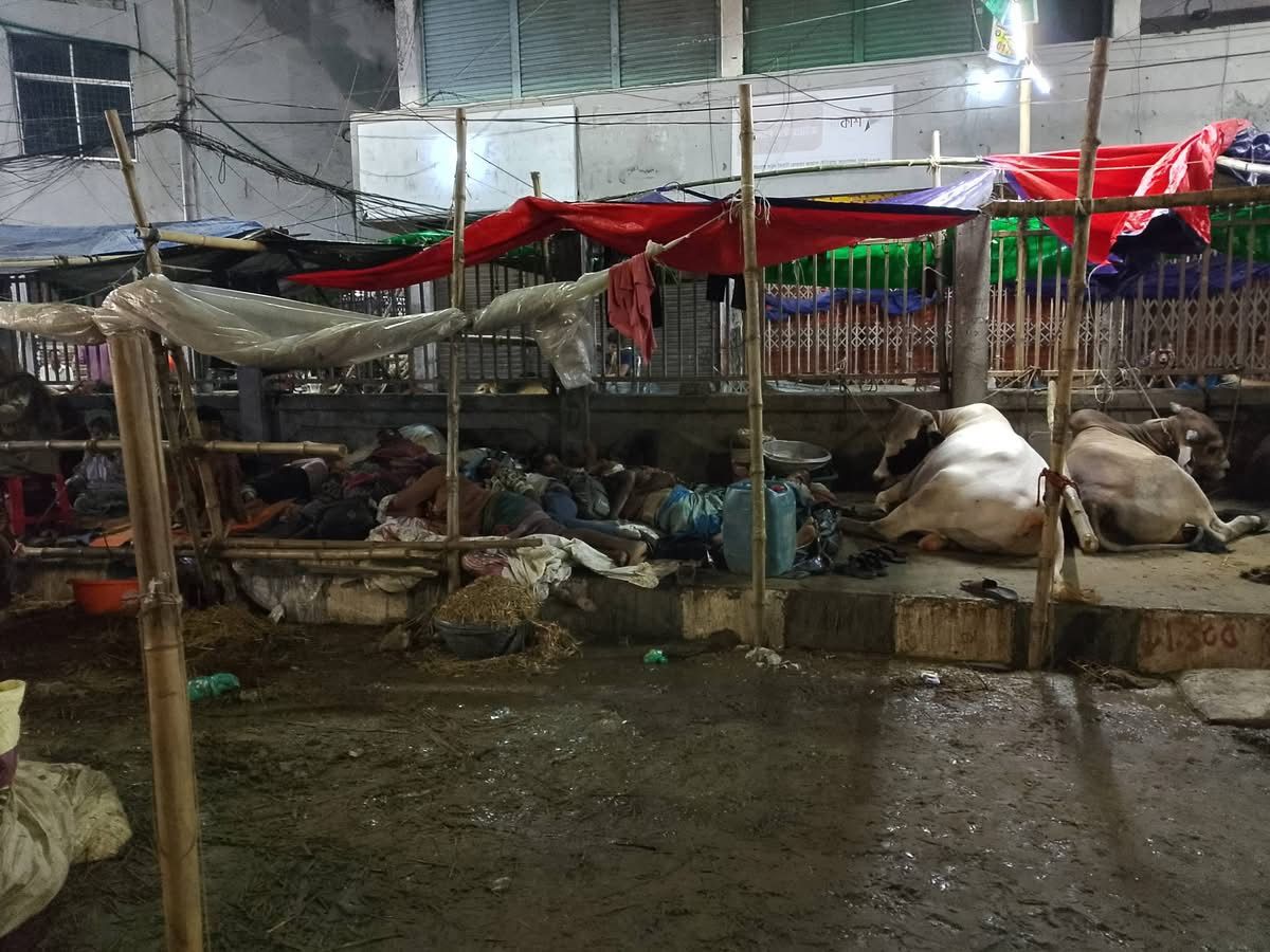 পশুর হাটে বেপারী-খামারীদের রাতযাপন
