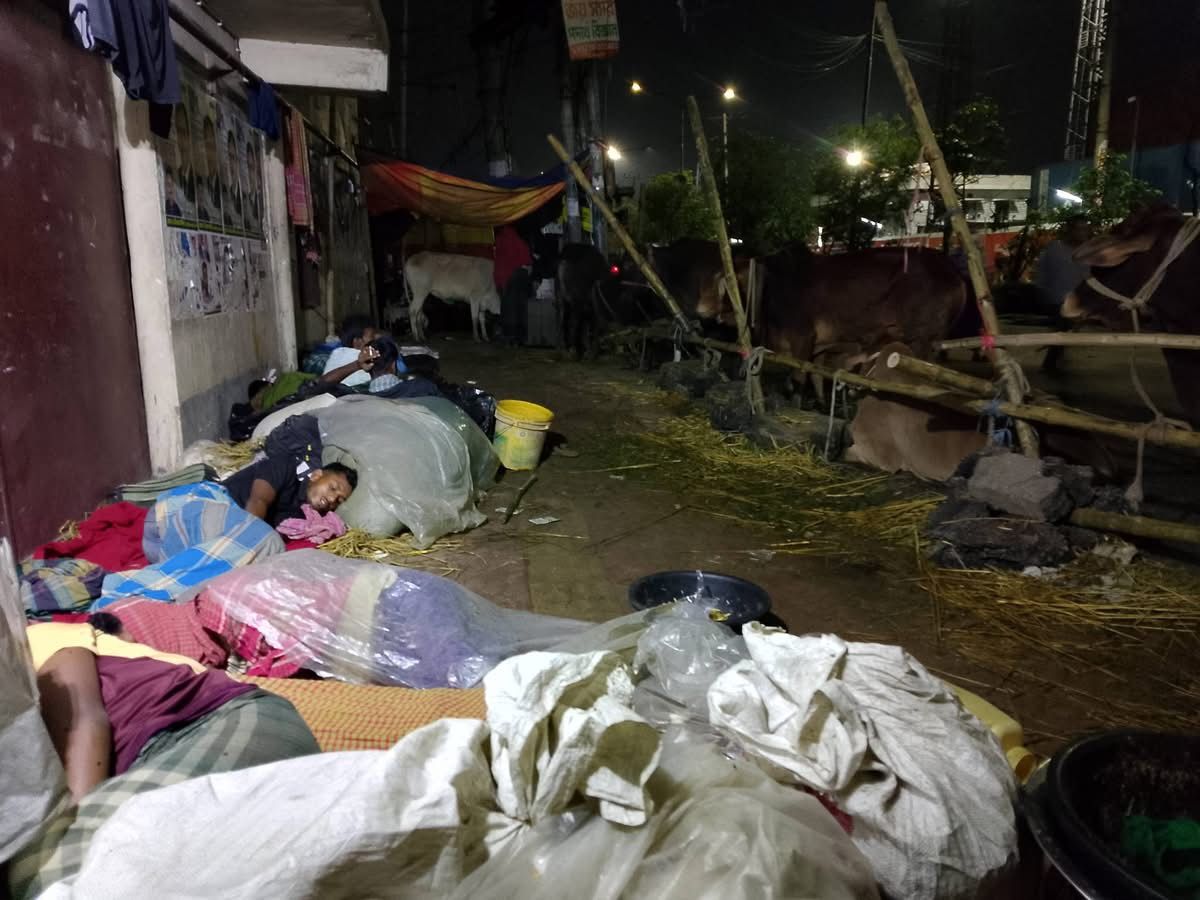 পশুর হাটে বেপারী-খামারীদের রাতযাপন