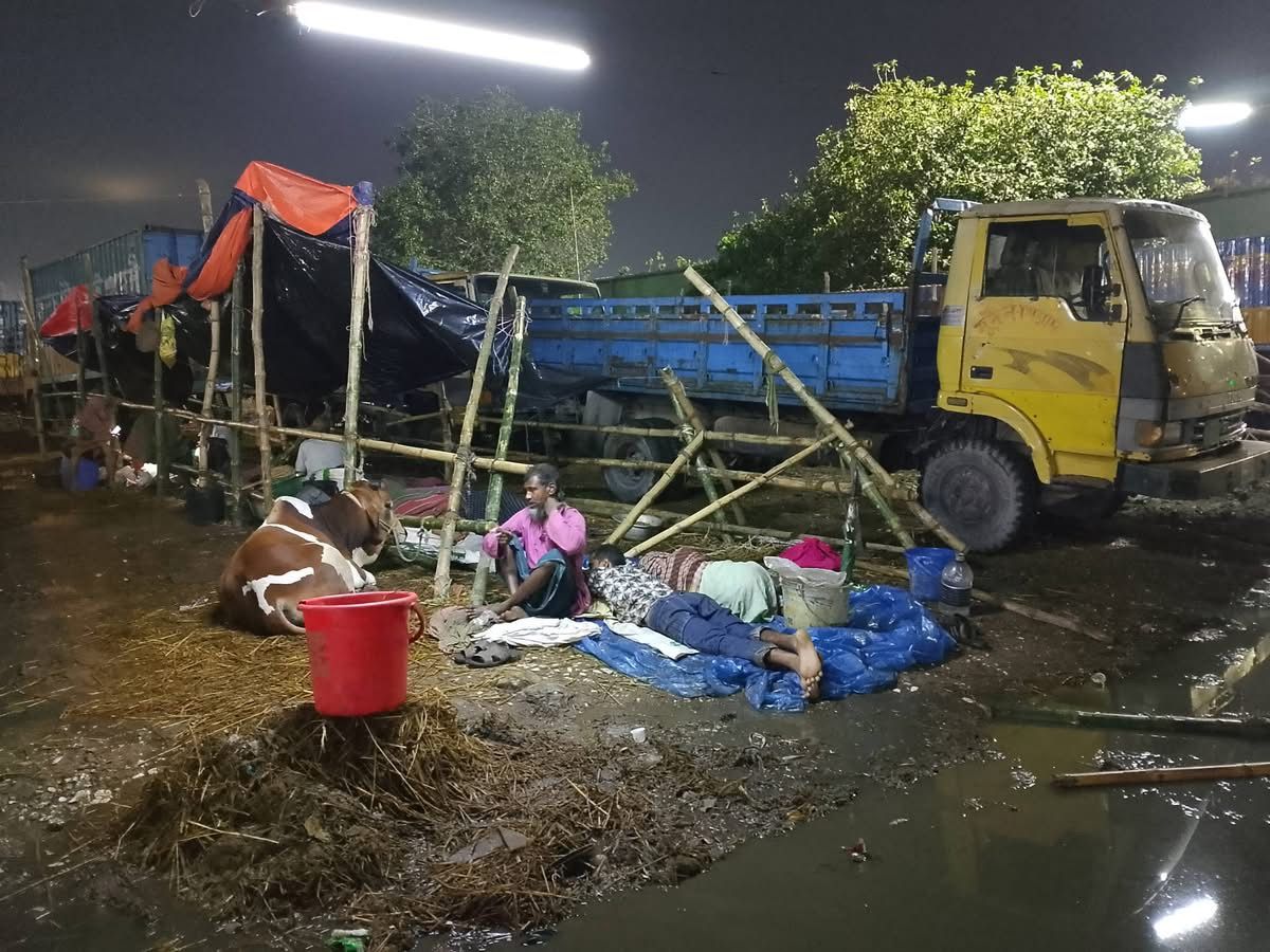 পশুর হাটে বেপারী-খামারীদের রাতযাপন