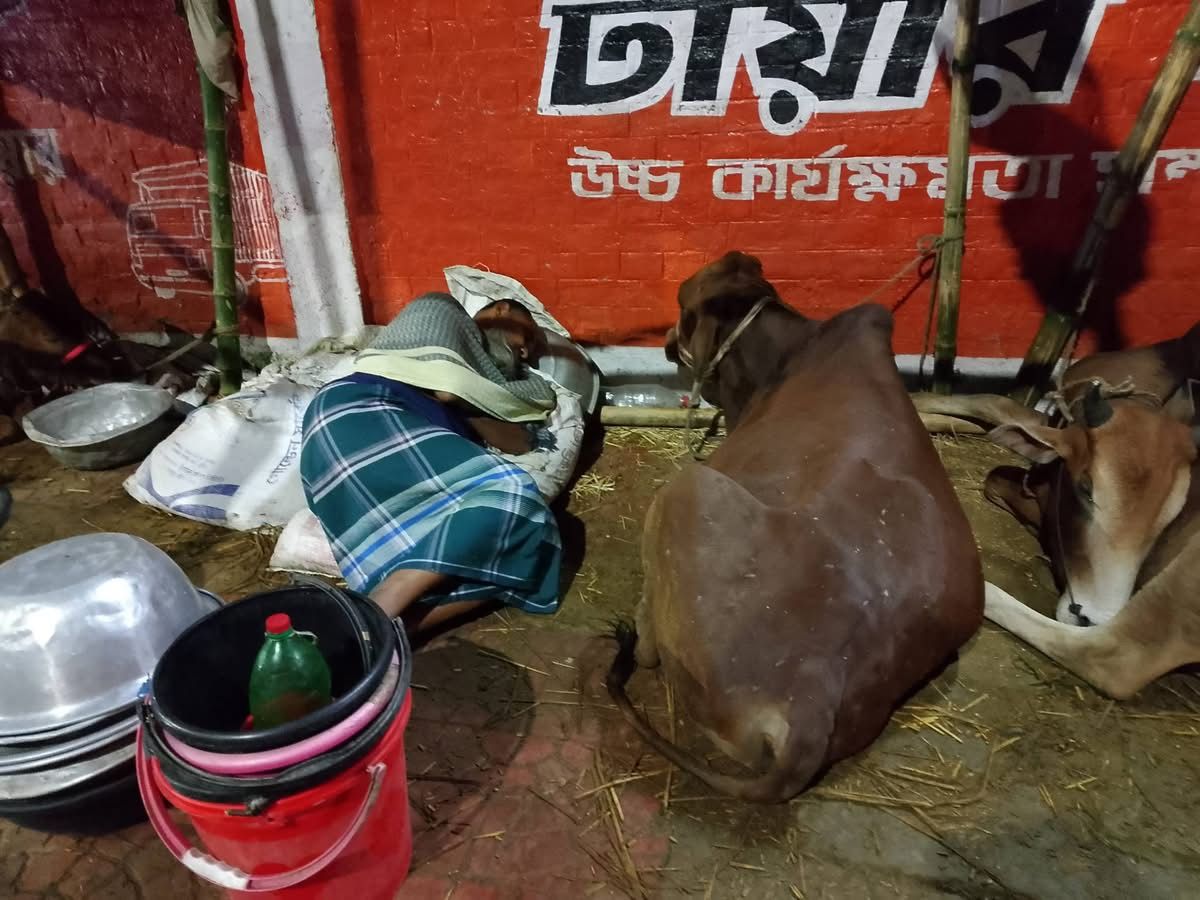 পশুর হাটে বেপারী-খামারীদের রাতযাপন