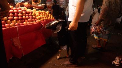 গাবতলী - ঢাকার প্রবেশদ্বার