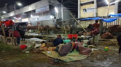 পশুর হাটে বেপারী-খামারীদের রাতযাপন