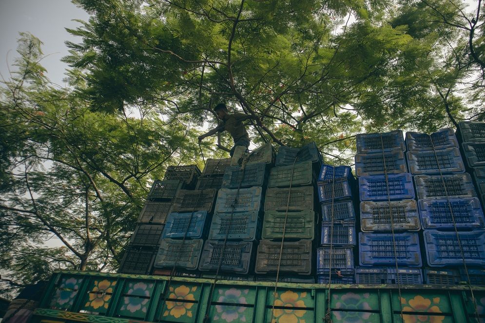 বাদামতলী: ঢাকার সবচেয়ে বড় ফলের পাইকারি বাজার