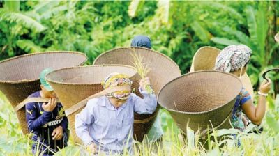 দীর্ঘ নিরবতার নীরব বেদনা
