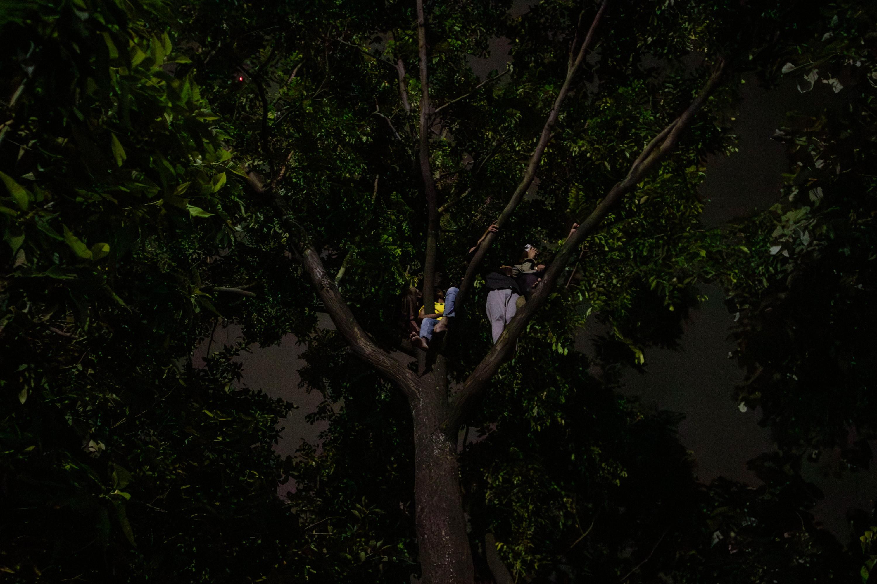 বিশ্বকাপ ফাইনালে ভাঙলো মিলনমেলা