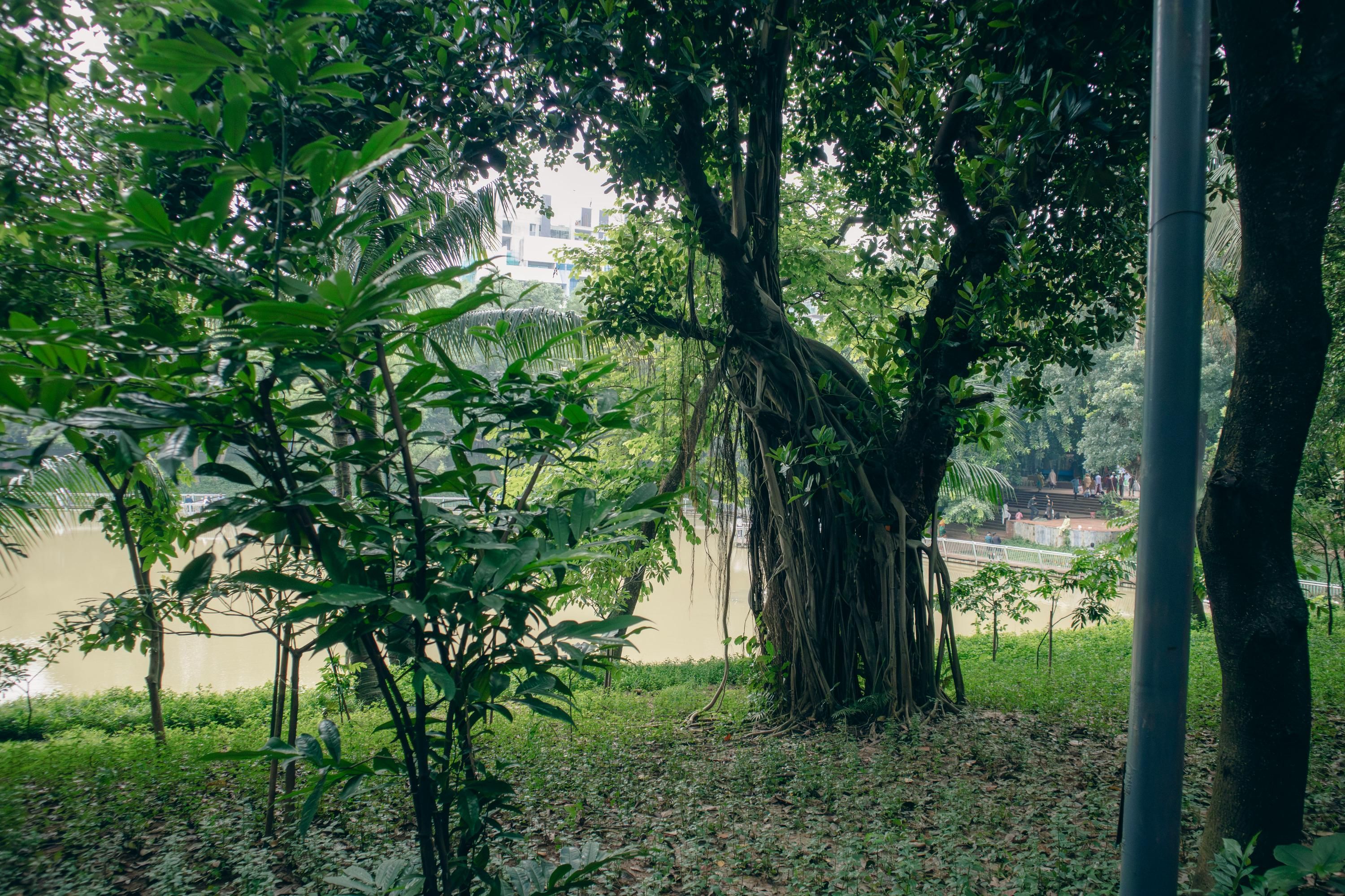 গুলশানের শাহাবুদ্দিন পার্ক