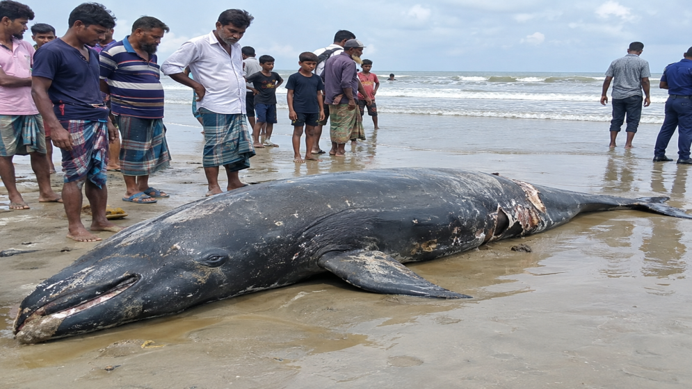 ভাল নেই বঙ্গোপসাগর, ভাল নেই সোয়াচ অব নো গ্রাউন্ড