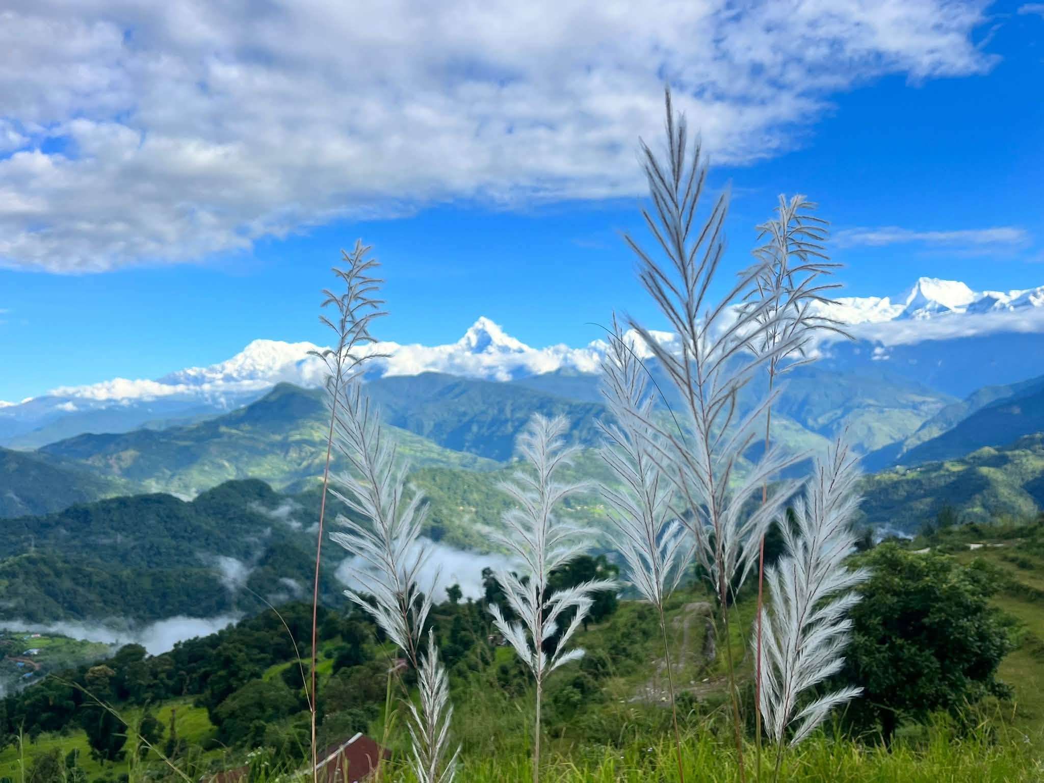 অন্নপূর্ণার রুপ